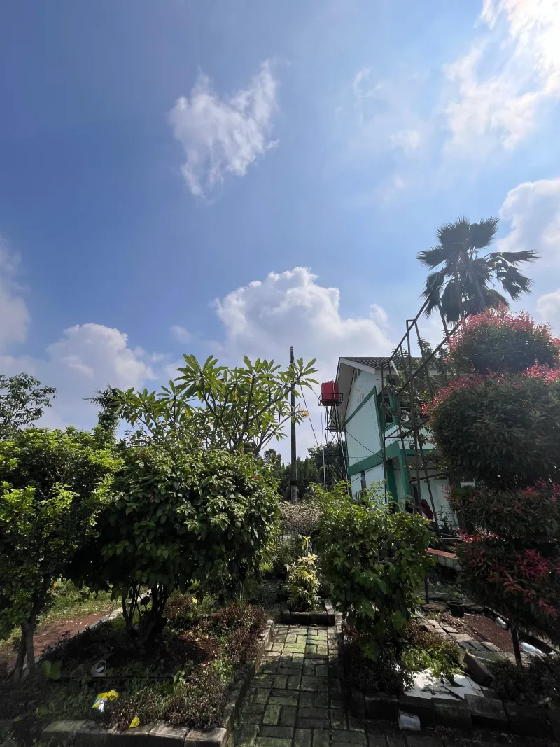 Taman Hijau Madrasah